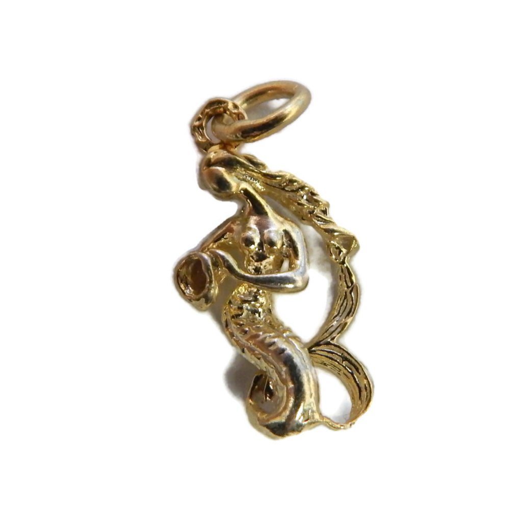 14k Yellow Gold Aquarius Horoscope Zodiac Sign 14k Yellow Gold Aquarius Horoscope Zodiac Sign